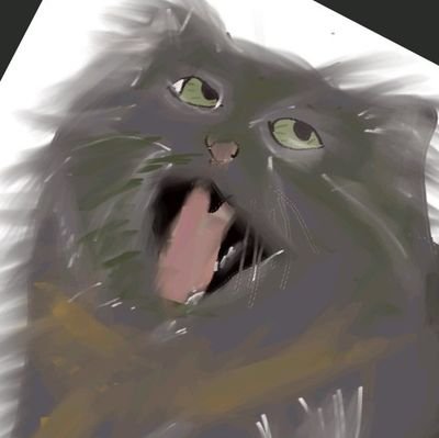 びふらいさんのプロフィール画像