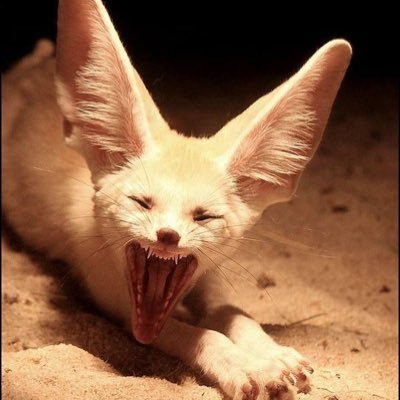 artificialprsts's profile picture. 