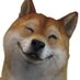 @shibashiba0403