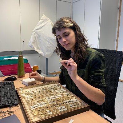 PhD student at @MuseumGeneve
#insects #museomics