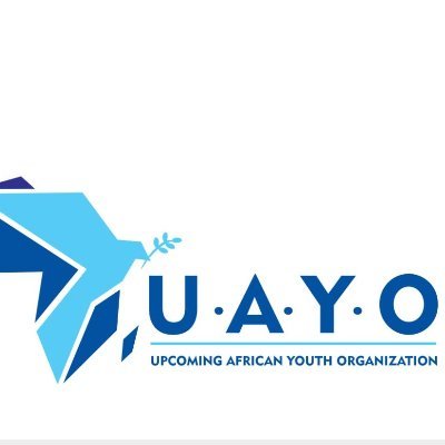 Is a grassroots youth-led organization that focuses on youth reform through the disengagement and reintegration process by creating platforms for transformation