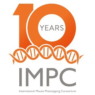 impc Profile Picture