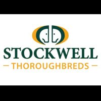 Stockwell TB (@stockwell_tb) Twitter profile photo