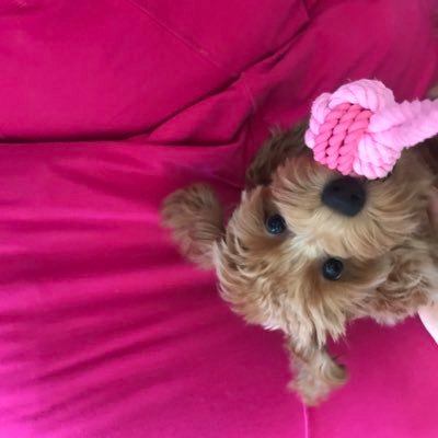joさんのプロフィール画像