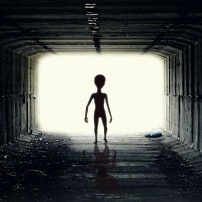 ProtoXid333's profile picture. 