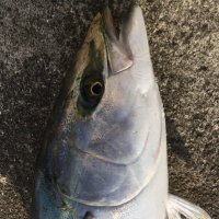 masa@ (@masa53014795) 's Twitter Profile