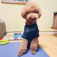 ユキ (@yuki_bblife5) Twitter profile photo