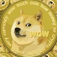 keilyjamir's profile picture. #DOGE #HERPES #RZE #PDF #FEG #SAFEMOON #SOLAR #CAKE #BABY #BTC #BNB $CRO #COCKTAIL $SOL $ETH $IT | Crypto News |