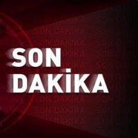 Yasemin Mıstıkoğlu (@ymistikoglu) 's Twitter Profile