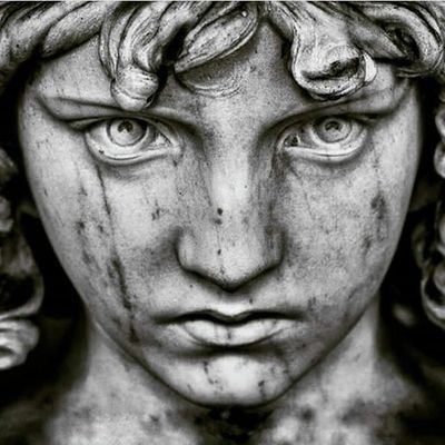 Meta33330's profile picture. 