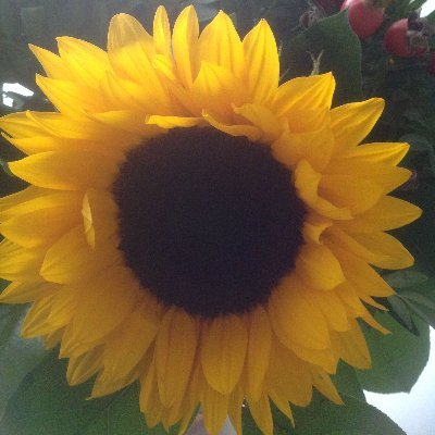 Do_rix's profile picture. Always look on the bright side of life.