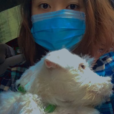 AddOneHa's profile picture. ang bohai ay parang isang bola; it goes round and round