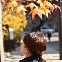 Kaede.Detective (@todoyama274) Twitter profile photo