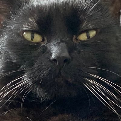 DPloy6's profile picture. 20 yrs old w/40 years experience. Canadian first w/FN heritage. Do not suffer fools easily. Yes I bite. Opinions are my own. Original thoughts preferred