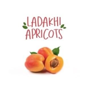 Ladakhi.Apricots ལ་དྭགས་ཀྱི་ཕ་ཐི