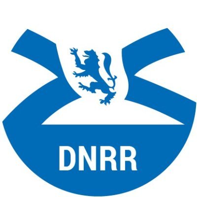 NS_DNRR Profile Picture