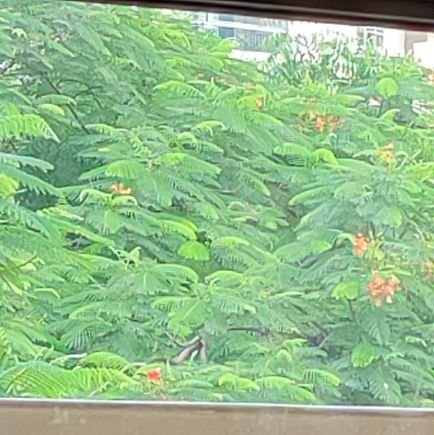 rocky_raka_'s profile picture. मौजा  ही मौजा