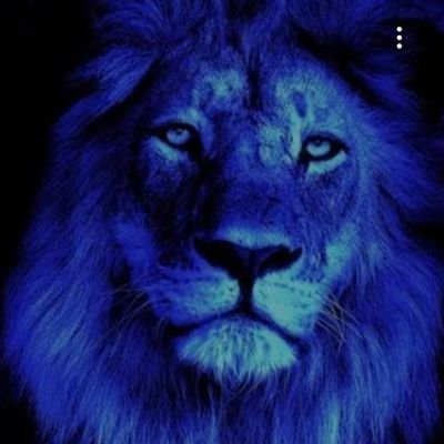 BarbaraClegg14's profile picture. 