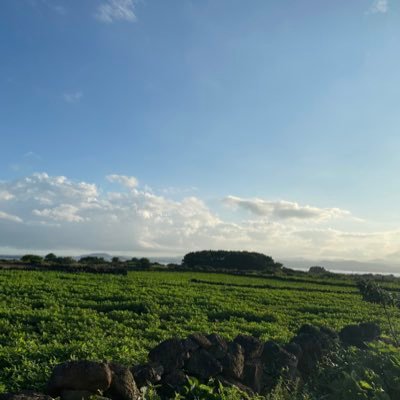 nnnjjnhpp's profile picture. ㅎ