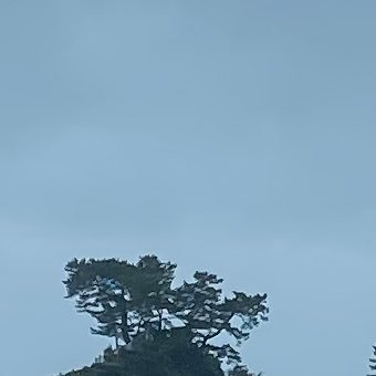 hiro_minarai's profile picture. 