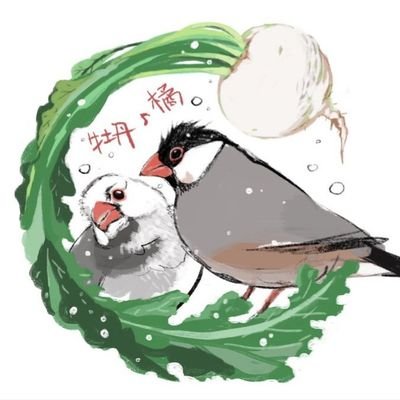 Ellさんのプロフィール画像