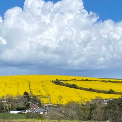 Achill68's profile picture. Geography & Economics Teacher at Rathdown School, Glenageary, Co. Dublin and IOE Lesson St. Views my own.