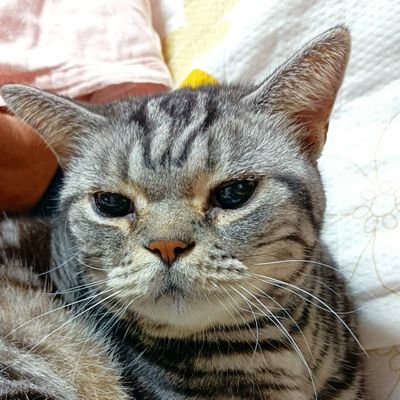 2020年復帰 現在芝鯖 Kotonochiで活動中です 2021サブ垢Picoseaではじめました 現在活動休止中です