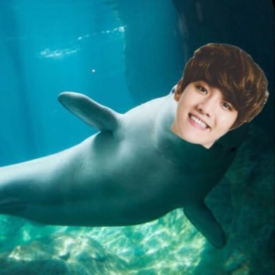 ethprotection's profile picture. account dedicated to protecc eth especially from ëth and fab // feel free to dm and tag // pls dont take this seriously i don't want anyone getting suspended