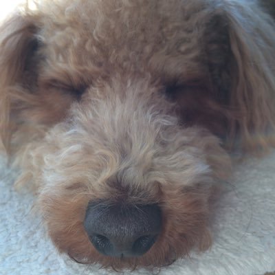 yHH1NB5jyRCloEp's profile picture. 