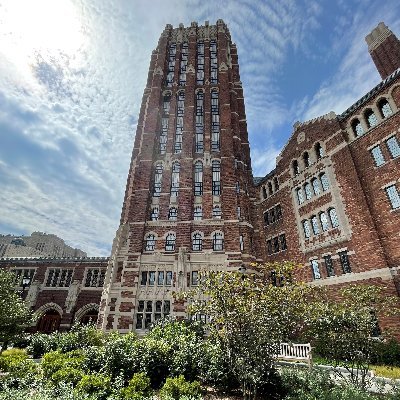 History Department at Yale University, official Twitter account.