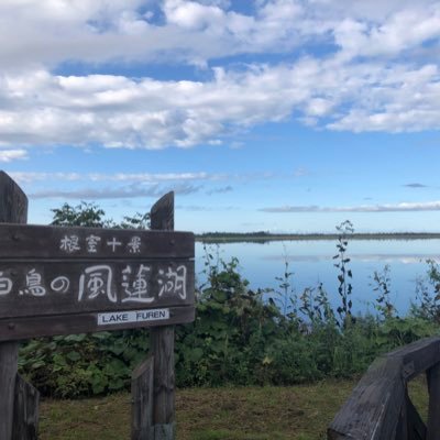 hardoff0721's profile picture. こんにちは！！ とりあえずしゃべりましょう人が恋しい。#裏垢 #ライフハック 決してエロ垢ではない。#表垢 肉弾戦