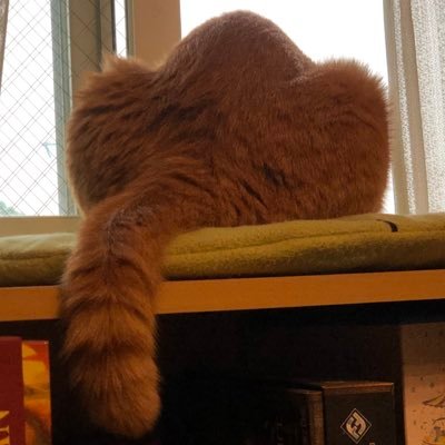 作ってるゲームの呟きをする用のアカウントです。 基本フォロバします〜! SGBとUnityで、異世界転生ファンタジーの3D脱出ゲームを作ってます。
