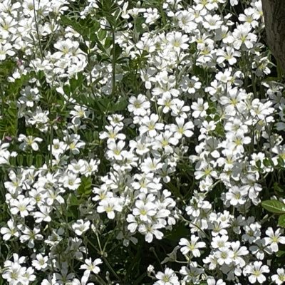 兵庫県出身。カラオケ、音楽を聴くこと眠ることが好き。食べること大好き。今は、なにわ男子にハマっています。よろしくネ❣️