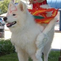 Marek (@mavrick_c47) 's Twitter Profile