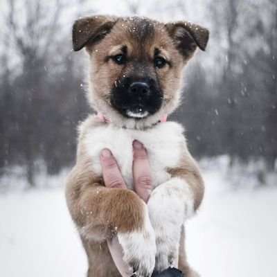 KBriezyo's profile picture. 