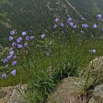 Niepokorna80's profile picture. 