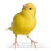Canary In A Covid World (@canary_covid) Twitter profile photo
