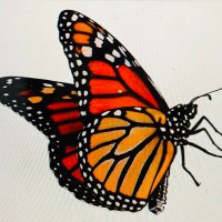 MPSAtech (@mpsatech) 's Twitter Profile Photo MPSAtech (@mpsatech) 's Twitter Profile Photo