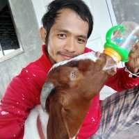 jullathap (@pdoangrung) 's Twitter Profile
