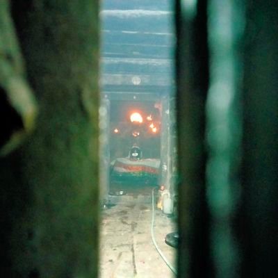 BasedDharma's profile picture. Based Dharma