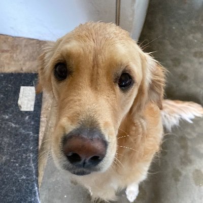 Roll4Rod's profile picture. 🍎