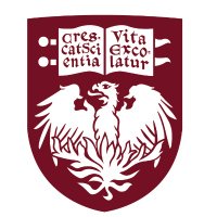 UChicago BSD Faculty Affairs (@uchgobsdfaculty) Twitter profile photo