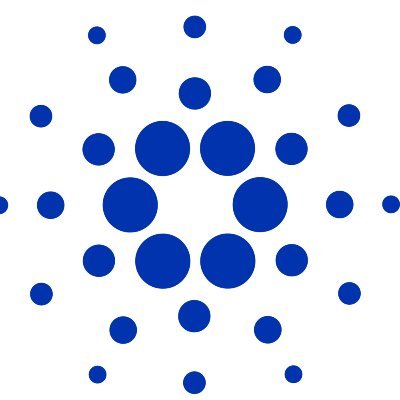 cardanofinland's profile picture. 