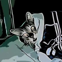 House Of Cats (@houseofcatsnft) 's Twitter Profile