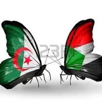 فتحي مرواني i (@fathi54795577) Twitter profile photo