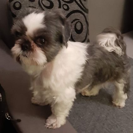 ZbigniewPaliwo2's profile picture. 