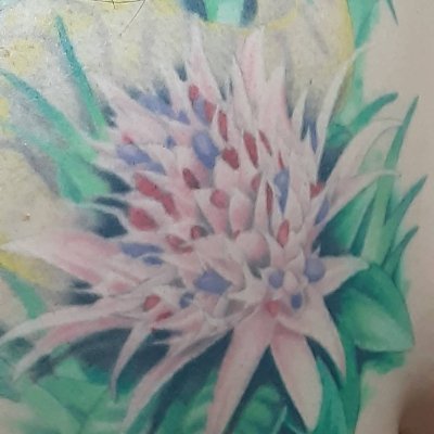 exanthematicus1's profile picture. 爬虫類・両生類飼育歴30数年です
ブランクあり
無言フォローOK

サバンナモニター
レオパ
ボールパイソン
イエアメガエル
アズマヒキガエル
ヒメハリテンレック
スキニーラット
タランチュラ
サソリ
ヤスデ
TATTOO
ピアス
バイク
→Pia-no-jaC←
Ｂ’ｚ
ひみつ基地。