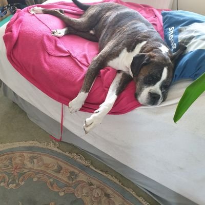 NoakesRichard's profile picture. 