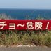 リョータ (@ryotasande) Twitter profile photo リョータ (@ryotasande) Twitter profile photo