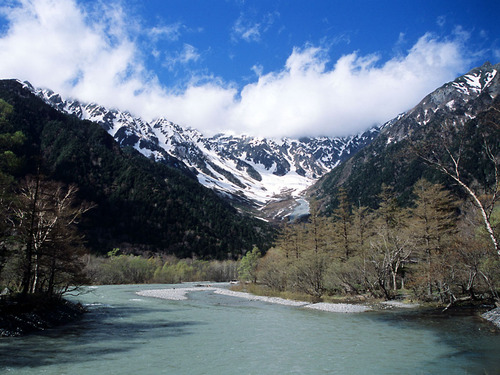 taxtone's profile picture. 